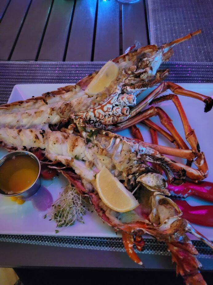 Attached picture Astra Grilled Lobster.jpg